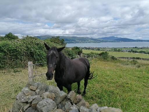 Apartament Carlingford Mountain And Sea Views Zewnętrze zdjęcie